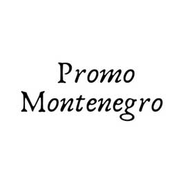 promo-montenegro-tehnopolis-marketing-services-to-innovative-startups