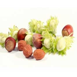 starnuts-albania-yunus-social-business-employment-women-agriculture