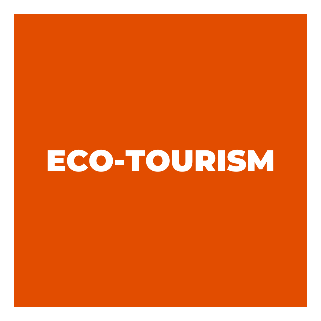 eco-tourism-social-entrepreneurship