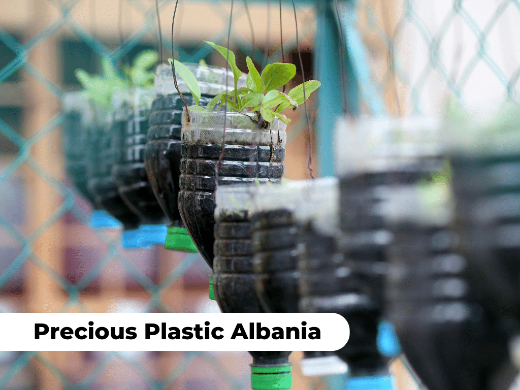 ecology-social-entrepreneurship-albania