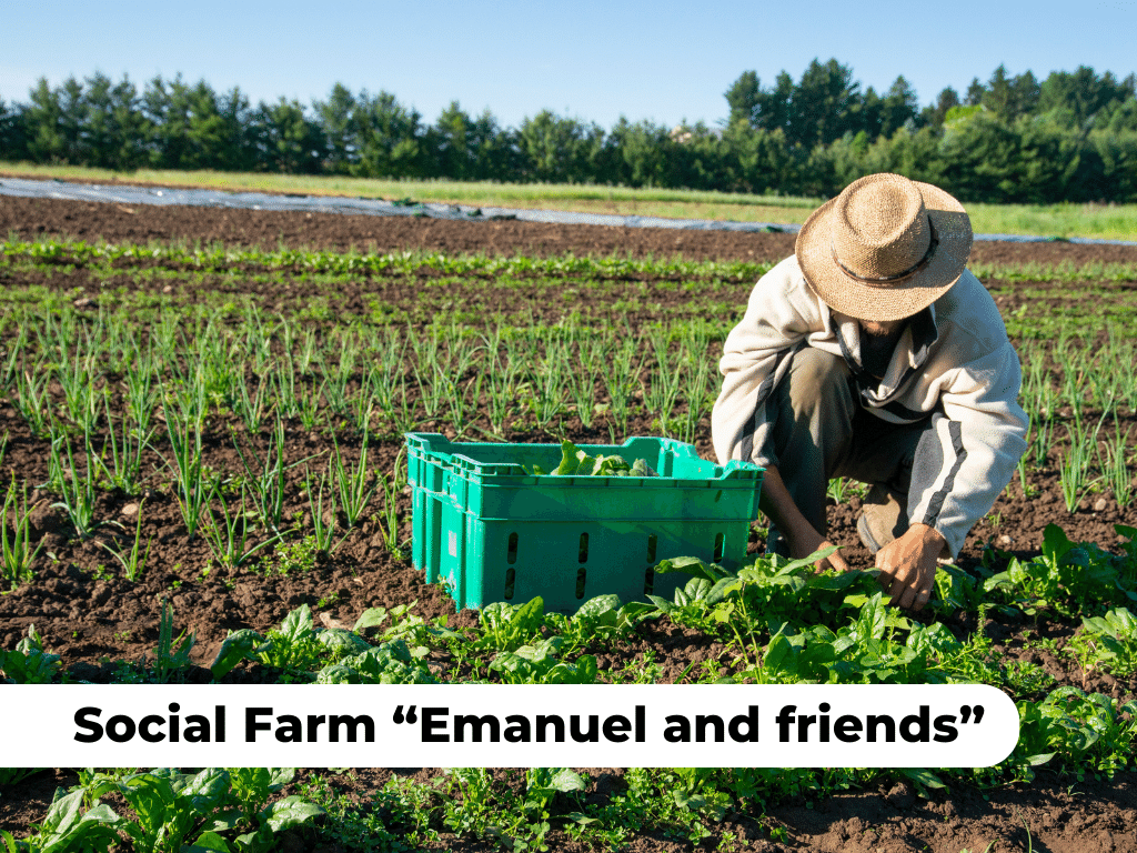 albania-social-entrepreneurship-farming